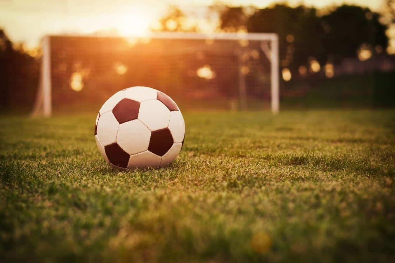 En fodbold sidder på græsset foran et mål. Wallpaper
