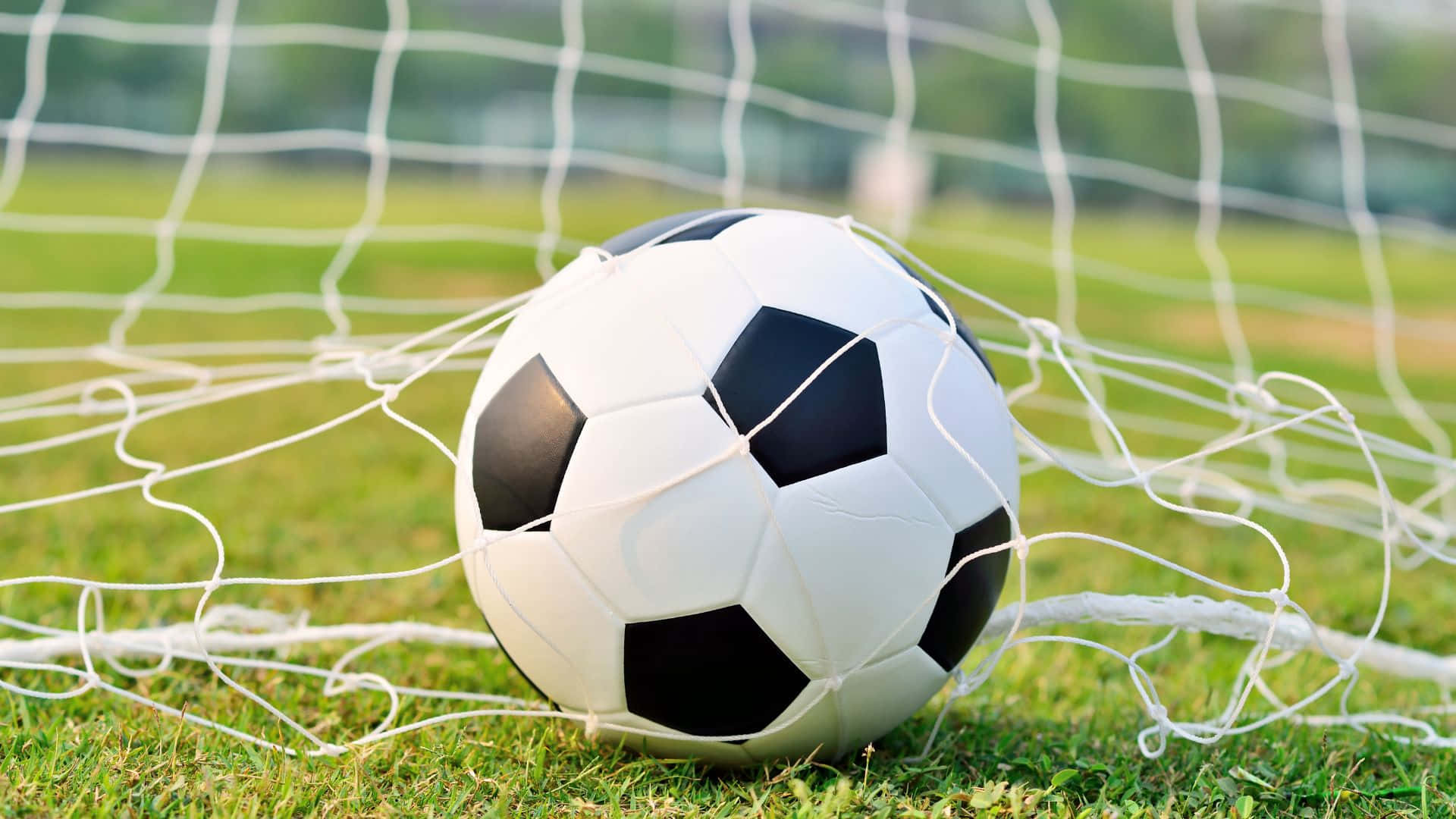 Zeigensie Ihre Unterstützung Für Fußball, Indem Sie Ein Fußballbezogenes Artikel Zur Schau Stellen!