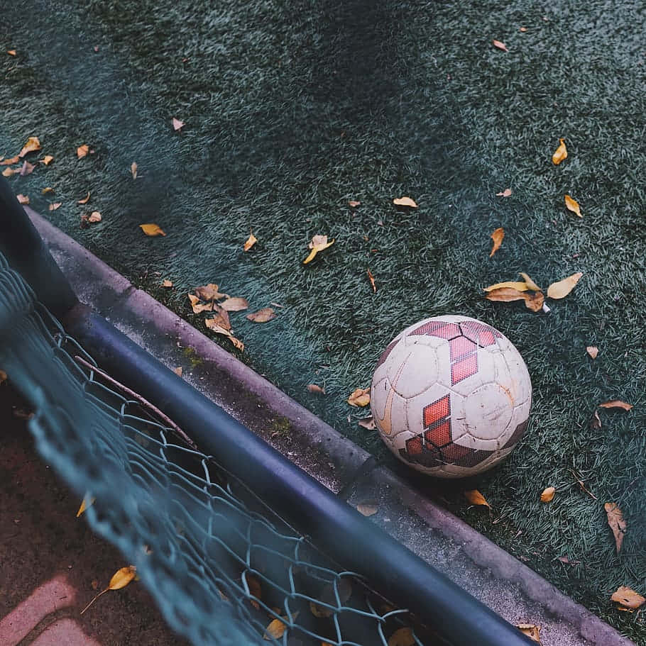 Soccer Ball Background Field Leaves