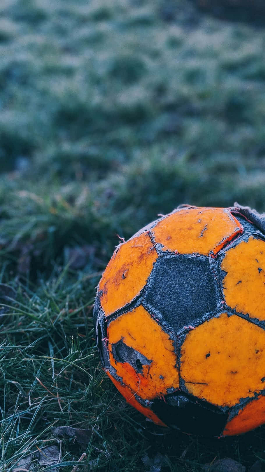 En orange fodbold siddende på græsset