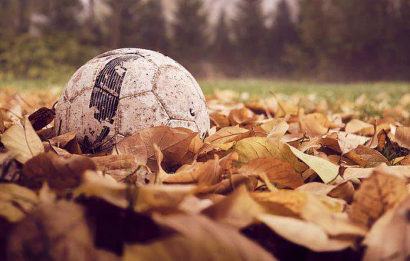 Soccer Ball On Dried Leaves Picture