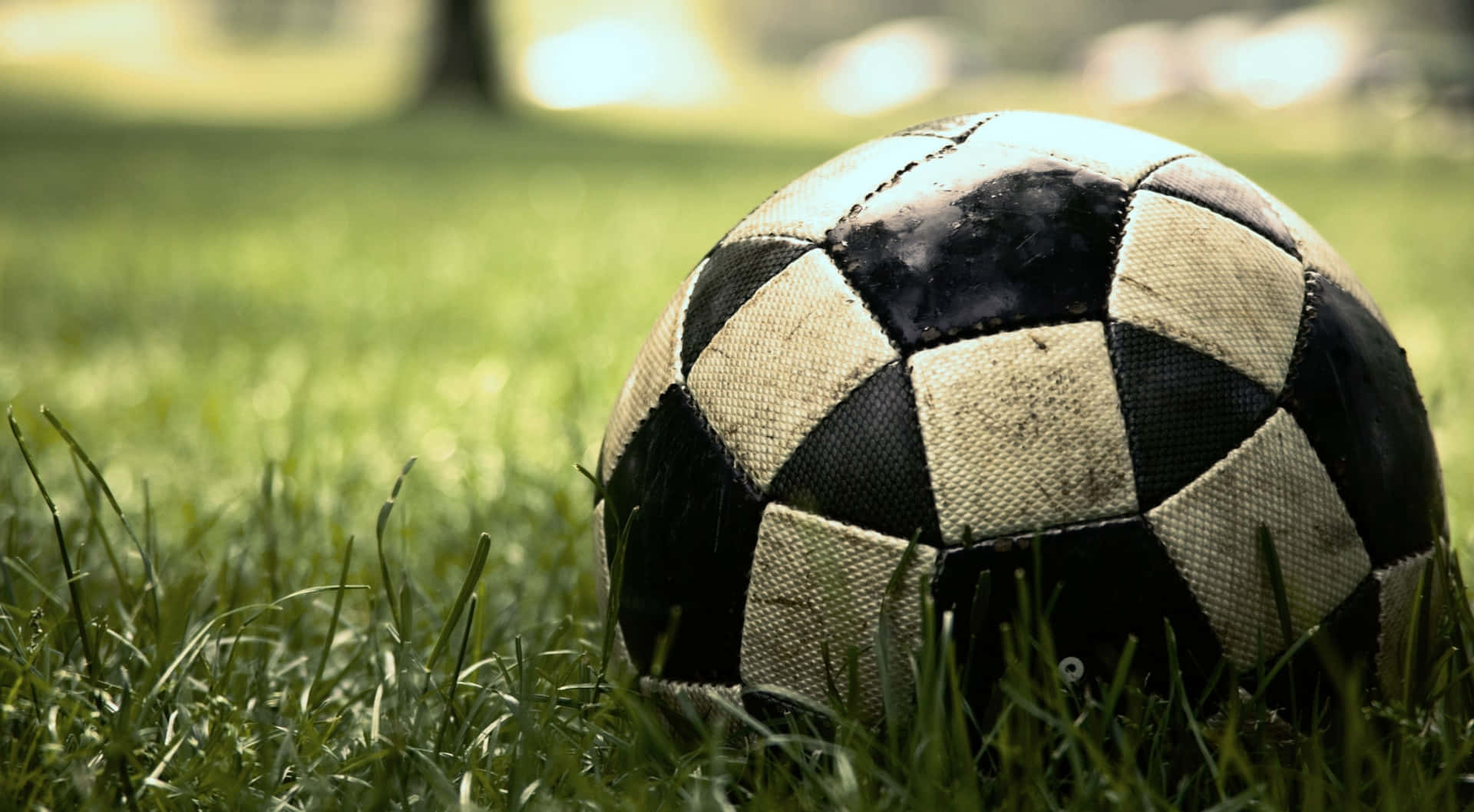 Ballon De Football Sur Un Terrain Herbeux Fond d'écran