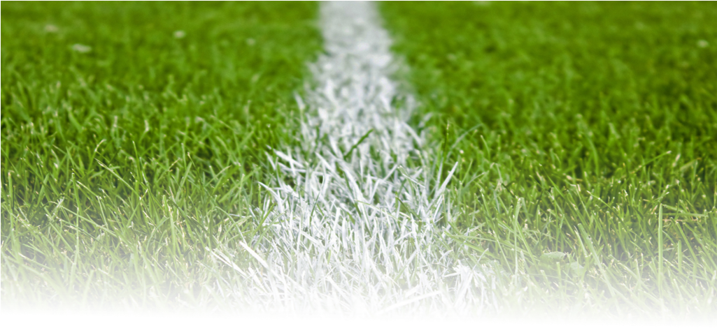 Soccer Field White Lineon Green Grass PNG