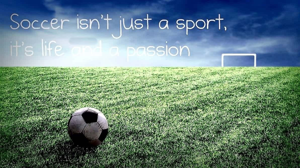 Soccer quotes HD wallpapers  Pxfuel