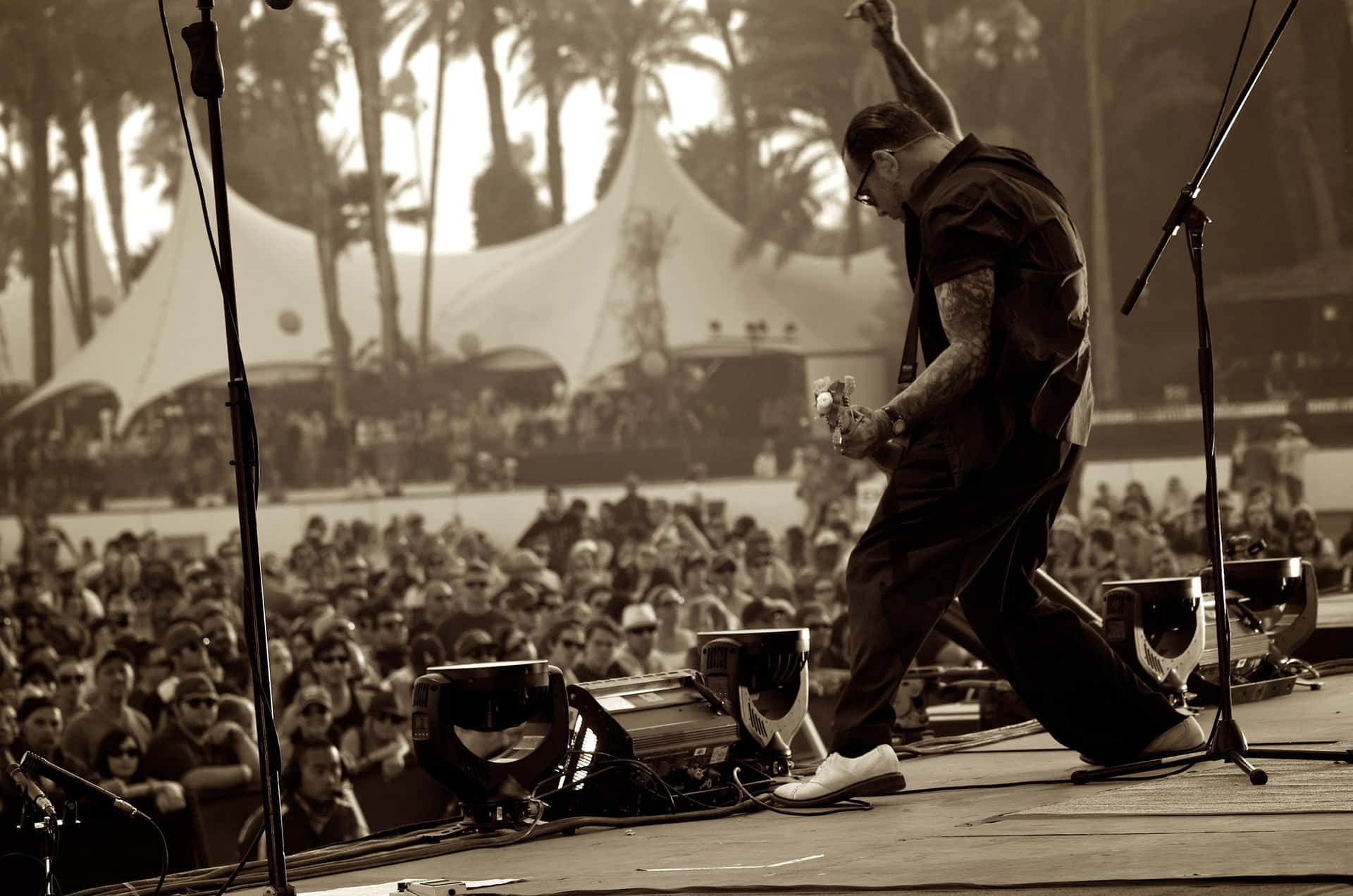 Social Distortion Band in Action Wallpaper