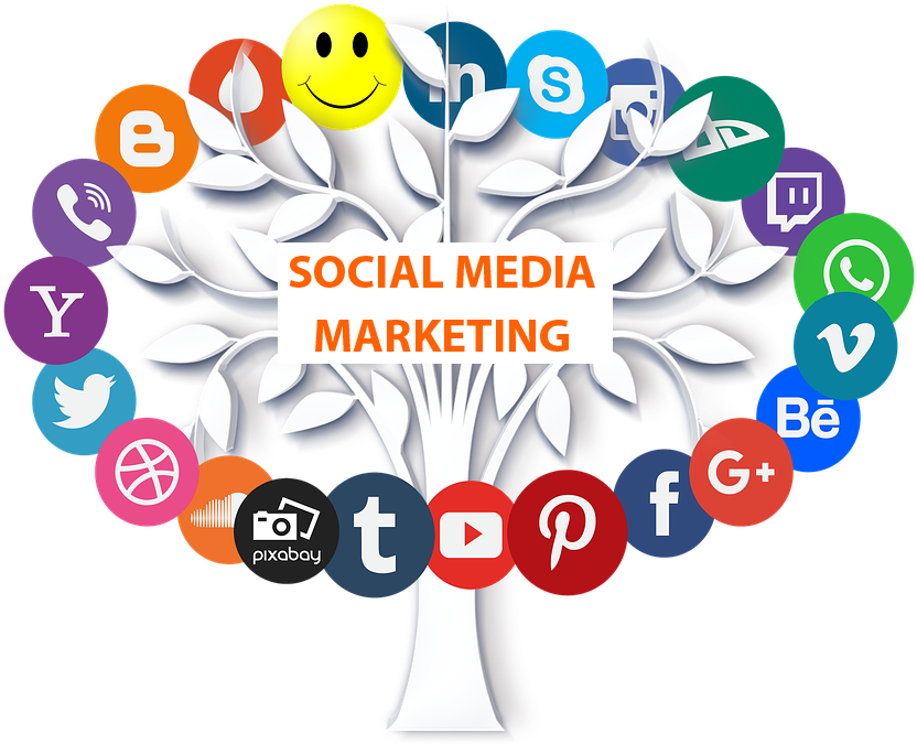 Social Media Marketing Tree PNG