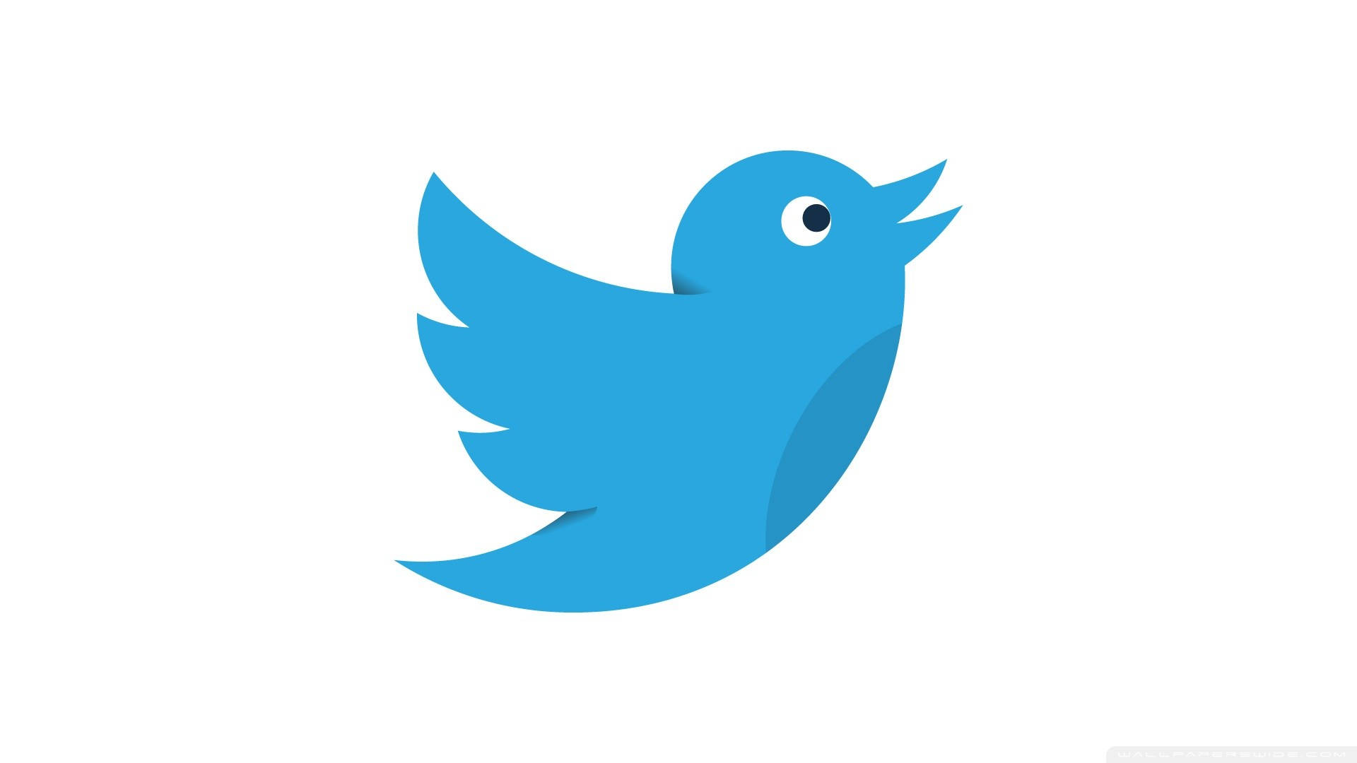 Social Media Twitter Bird Icon Wallpaper