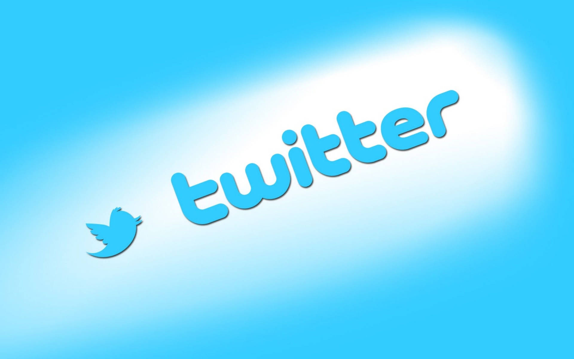 Social Media Twitter Blue Bird Logo Wallpaper