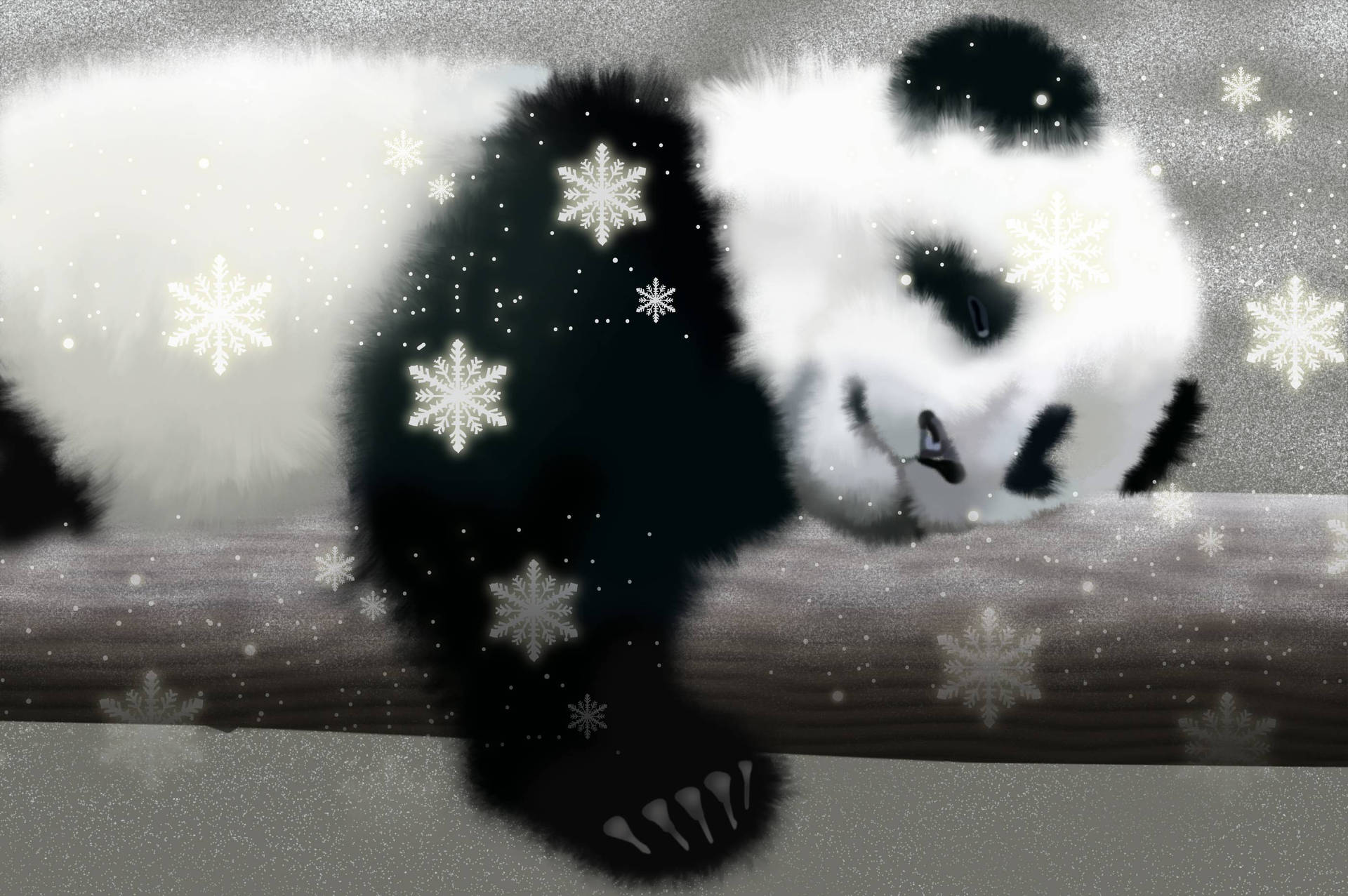 Sød Panda Med Sneflager Wallpaper