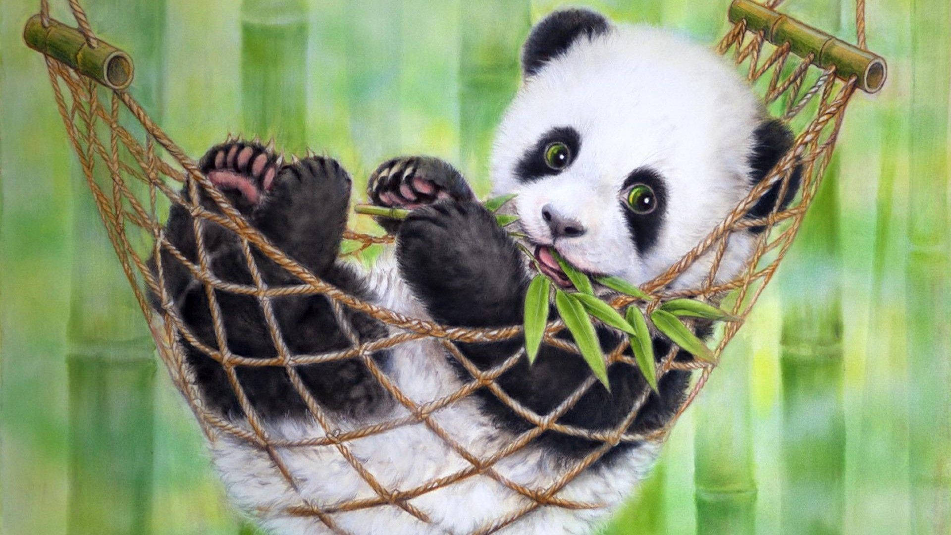 Sød Panda På En Hængekøje Wallpaper