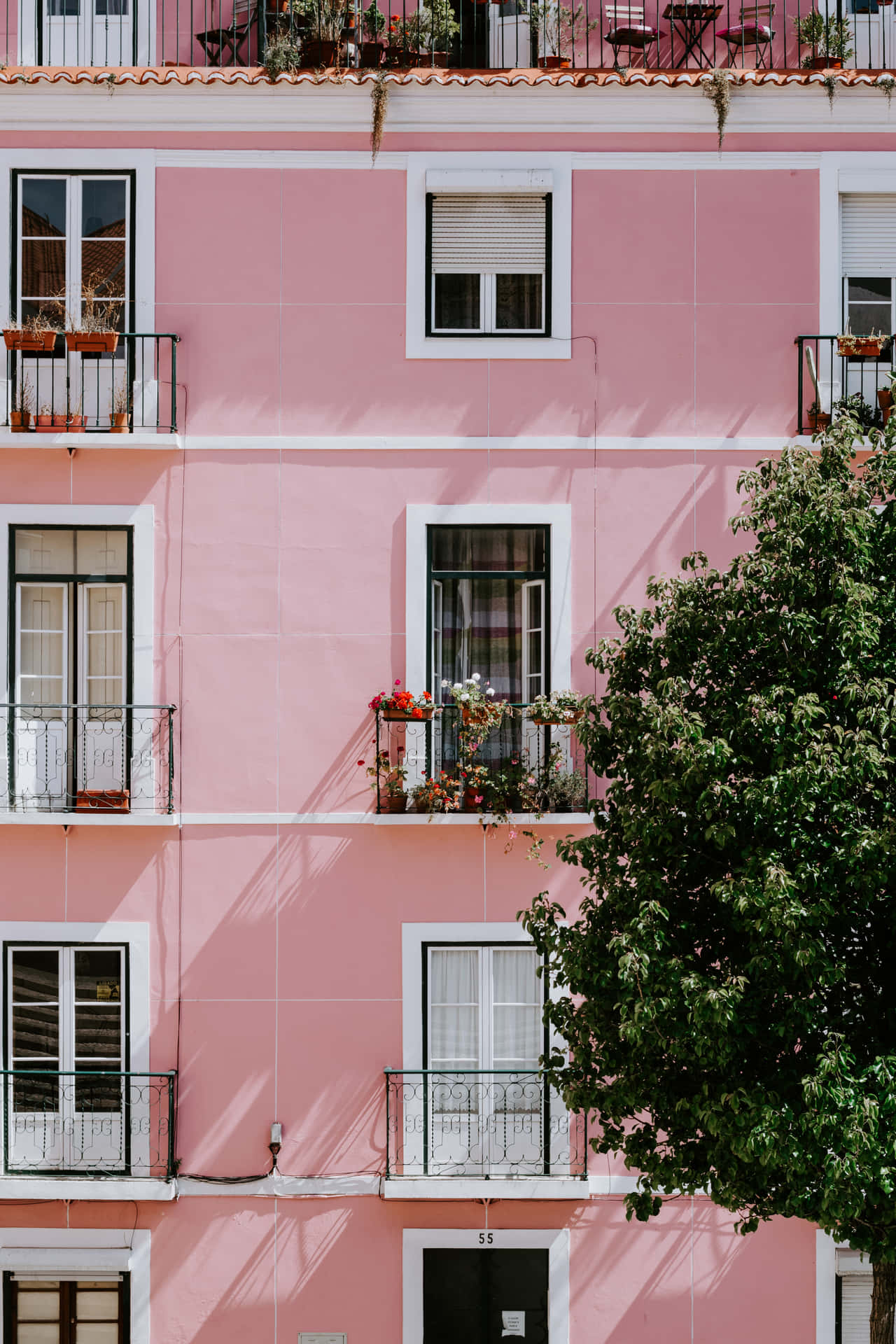 A Pink Building With Balconies And A Tree