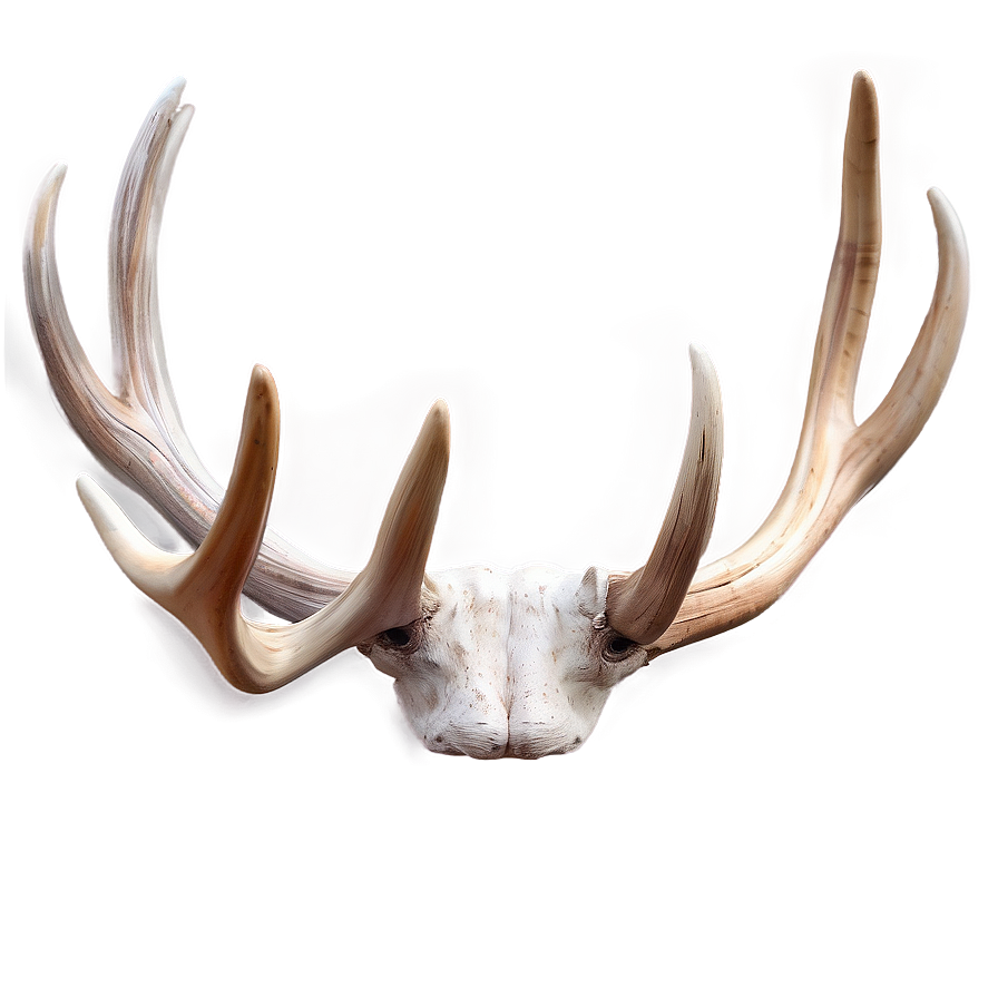 Soft Antler Rendering Png Vqp77 PNG