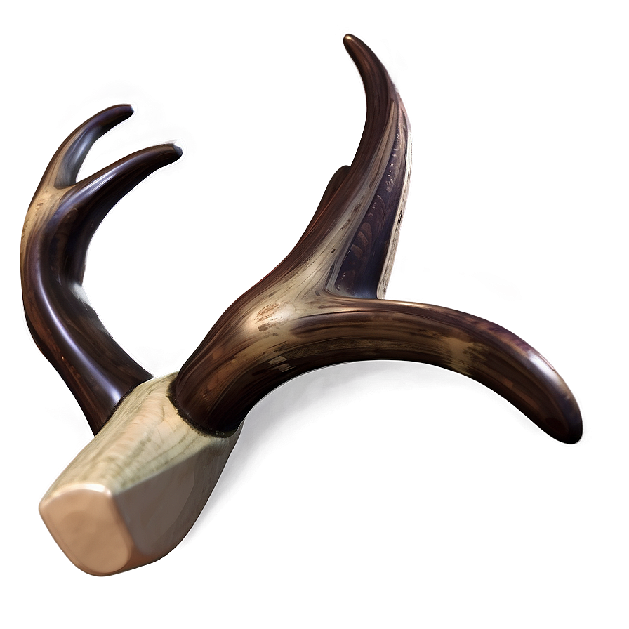 Soft Antler Rendering Png Xnk73 PNG