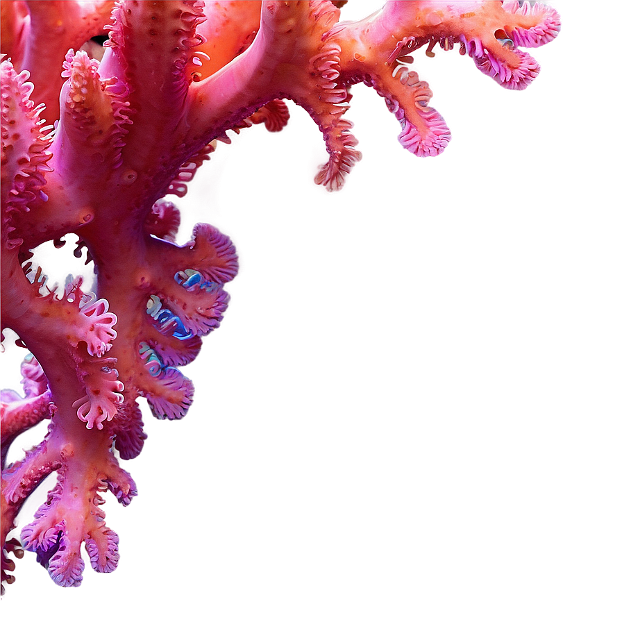 Soft Coral Texture Png 26 PNG