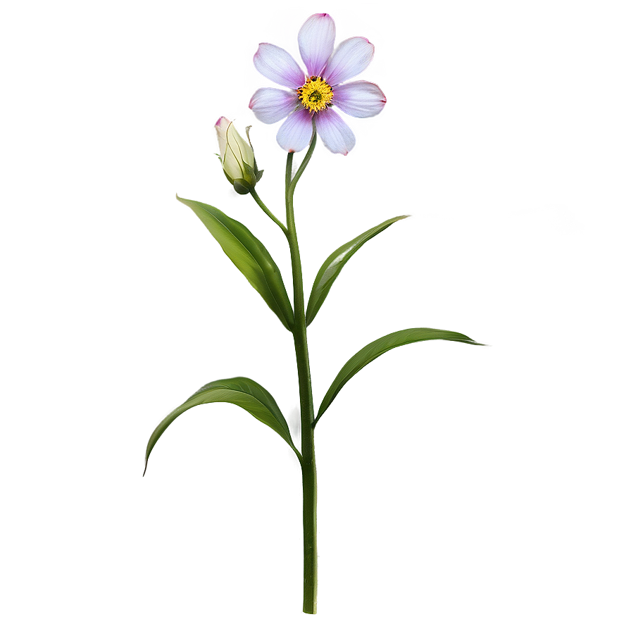 Soft Flower Stem Png 06132024 PNG