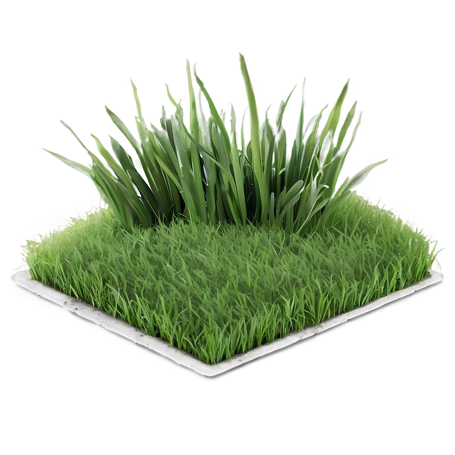 Soft Grass Carpet Png Jmj PNG