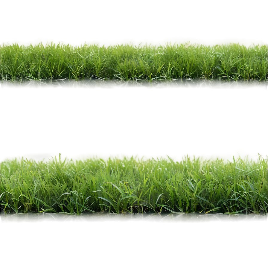 Soft Grass Carpet Png Lrx PNG