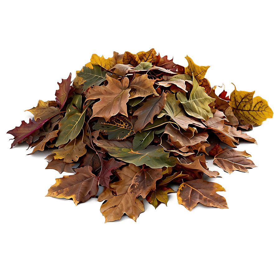 Soft Leaf Pile Png Usf PNG