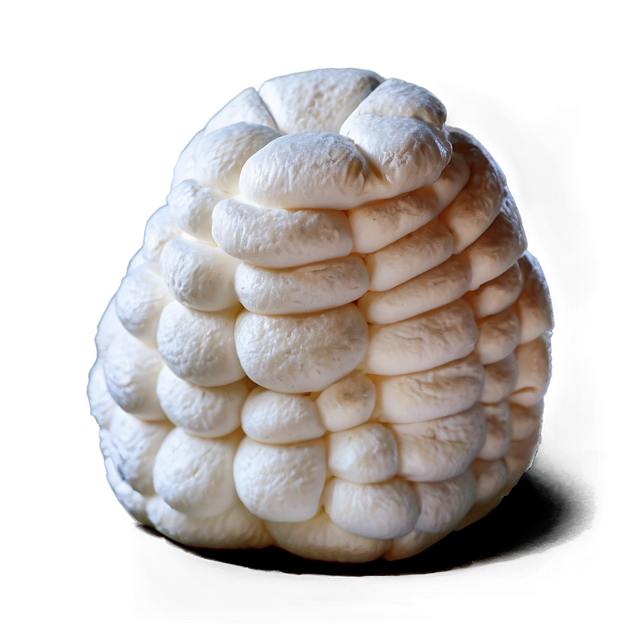Soft Marshmallow Puff Png 36 PNG