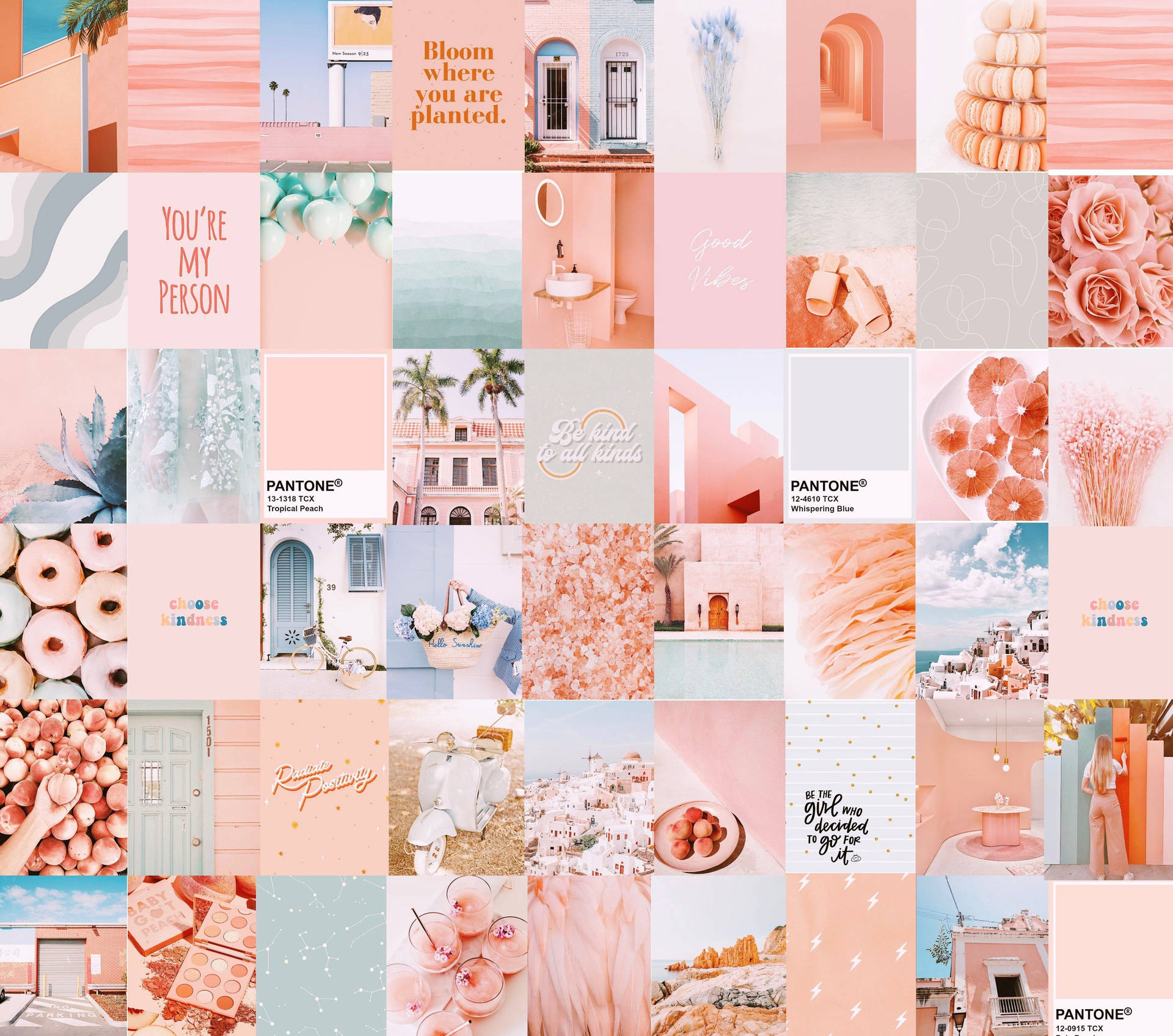 Soft Peach Aesthetic Collage Wallpaper