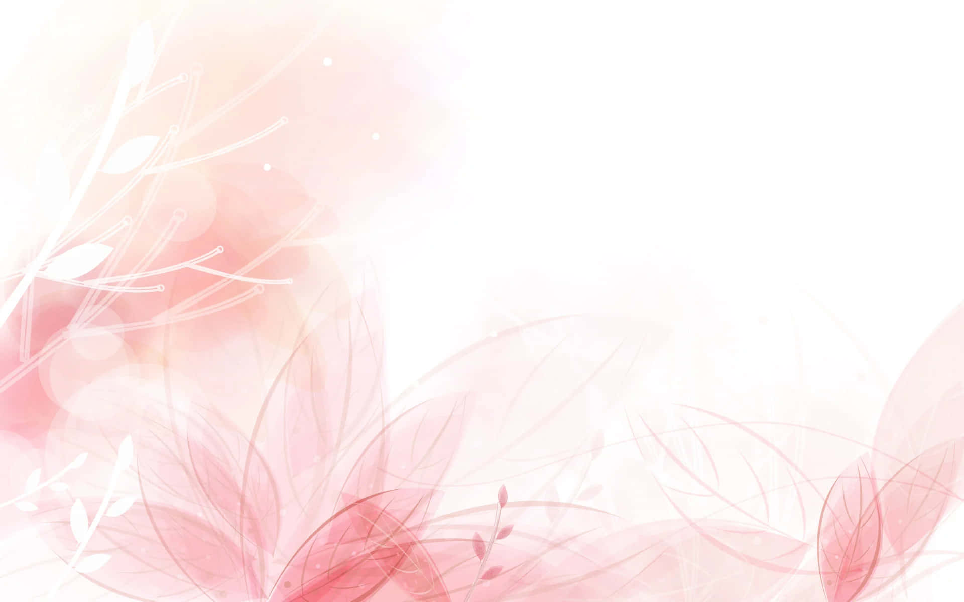 A soft pink backdrop with feminine floral details