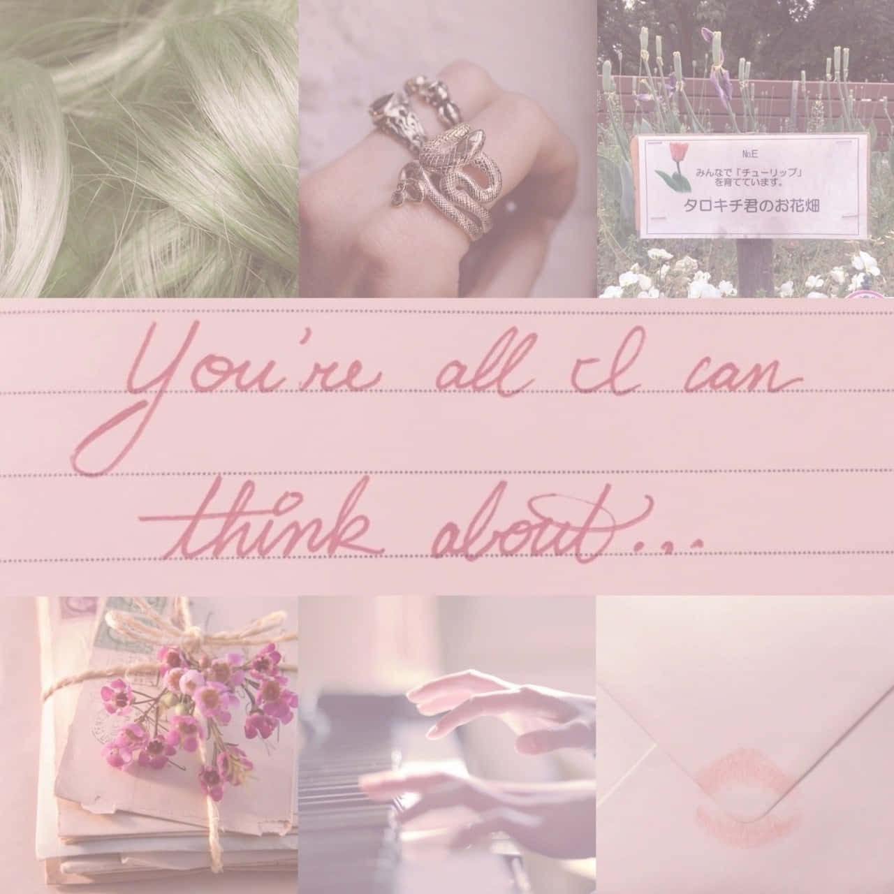 Soft_ Pink_ Collage_ Aesthetic Wallpaper