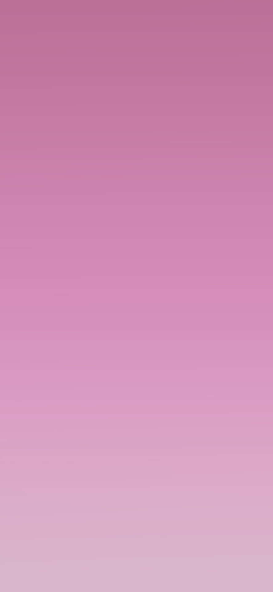 Soft Pink 1125 X 2436 Wallpaper