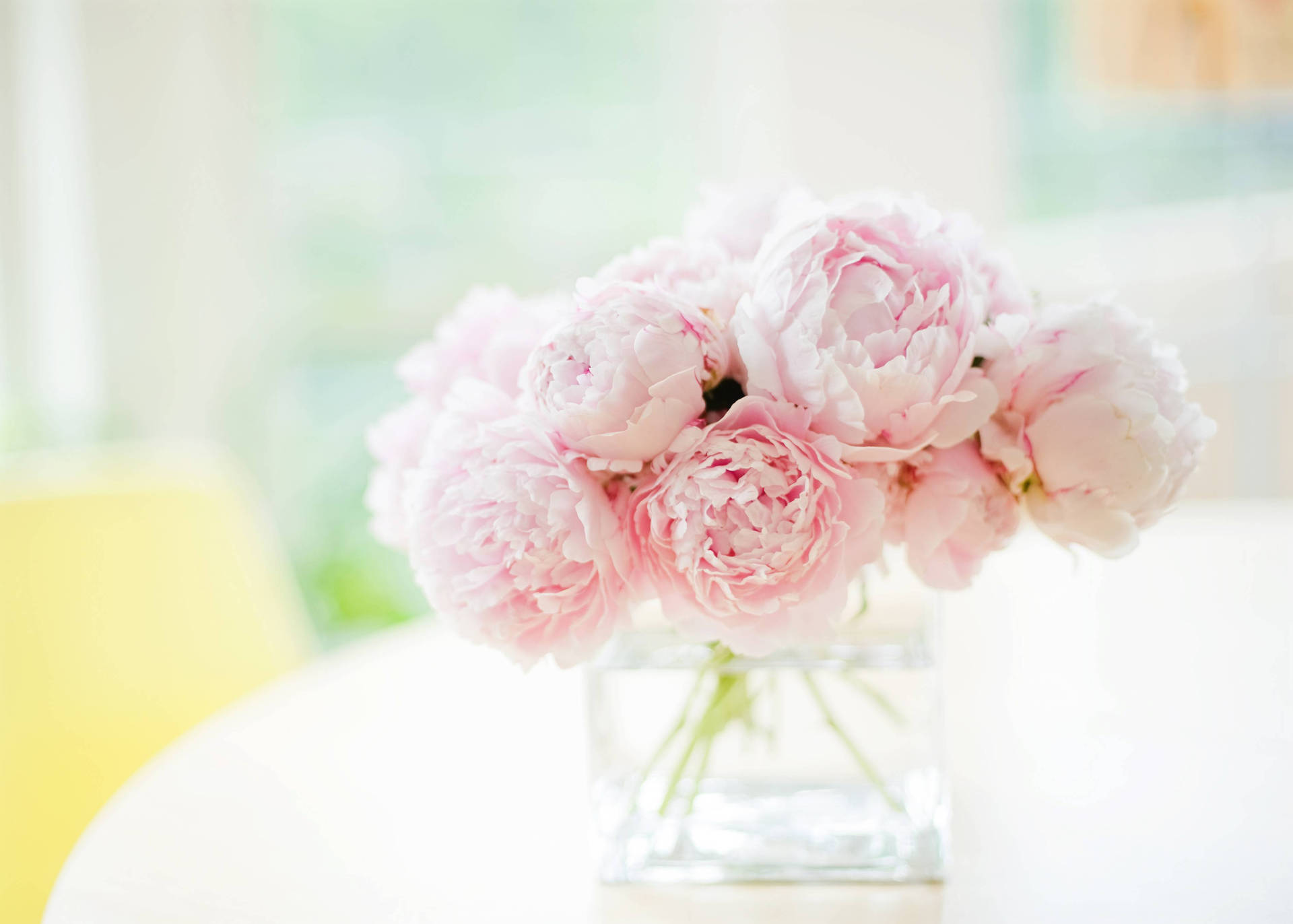 Soft Pink Peony Flowers In Vase Wallpaper