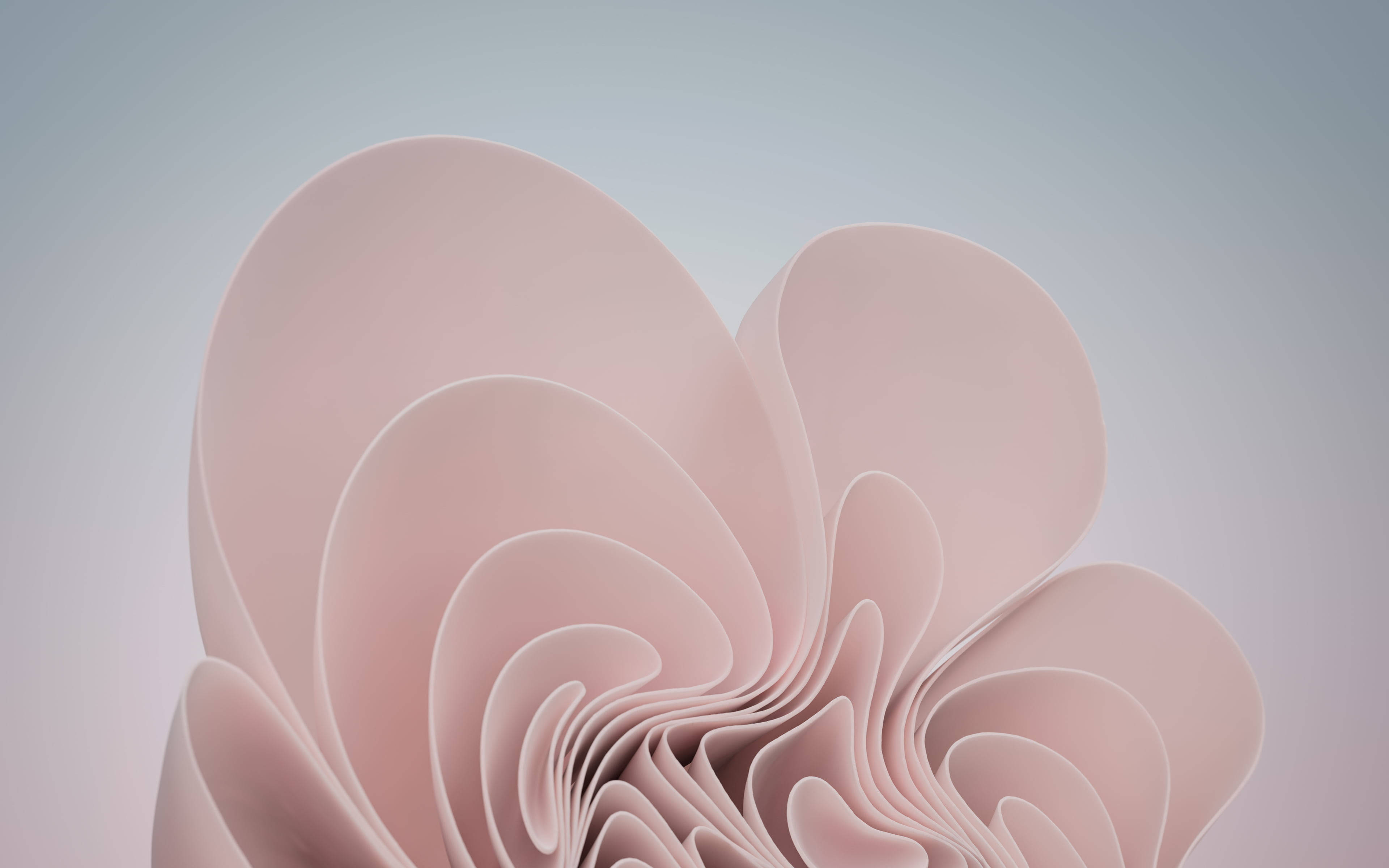 Soft Pink Swirls Backgrounds Wallpaper