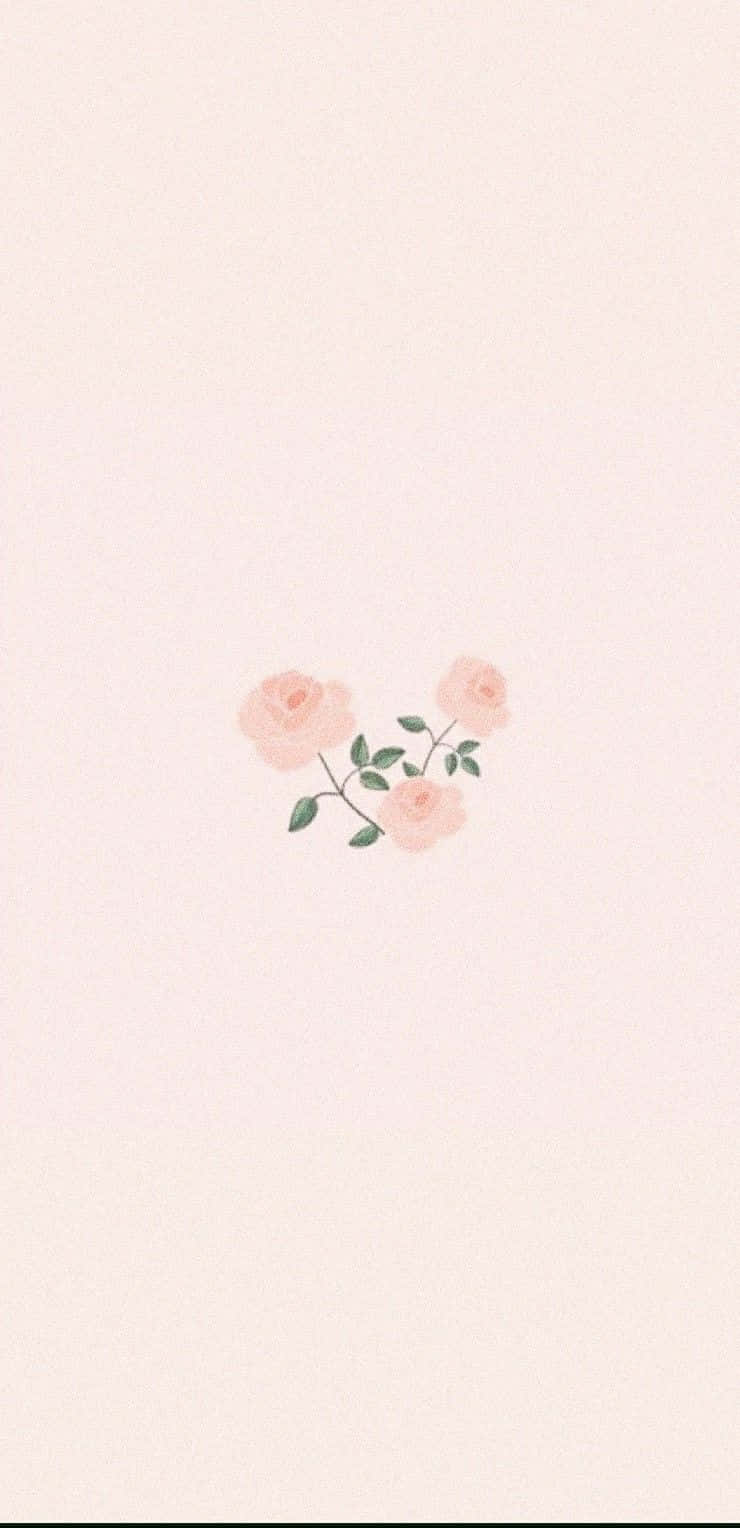 Soft Pink Roses Wallpaper