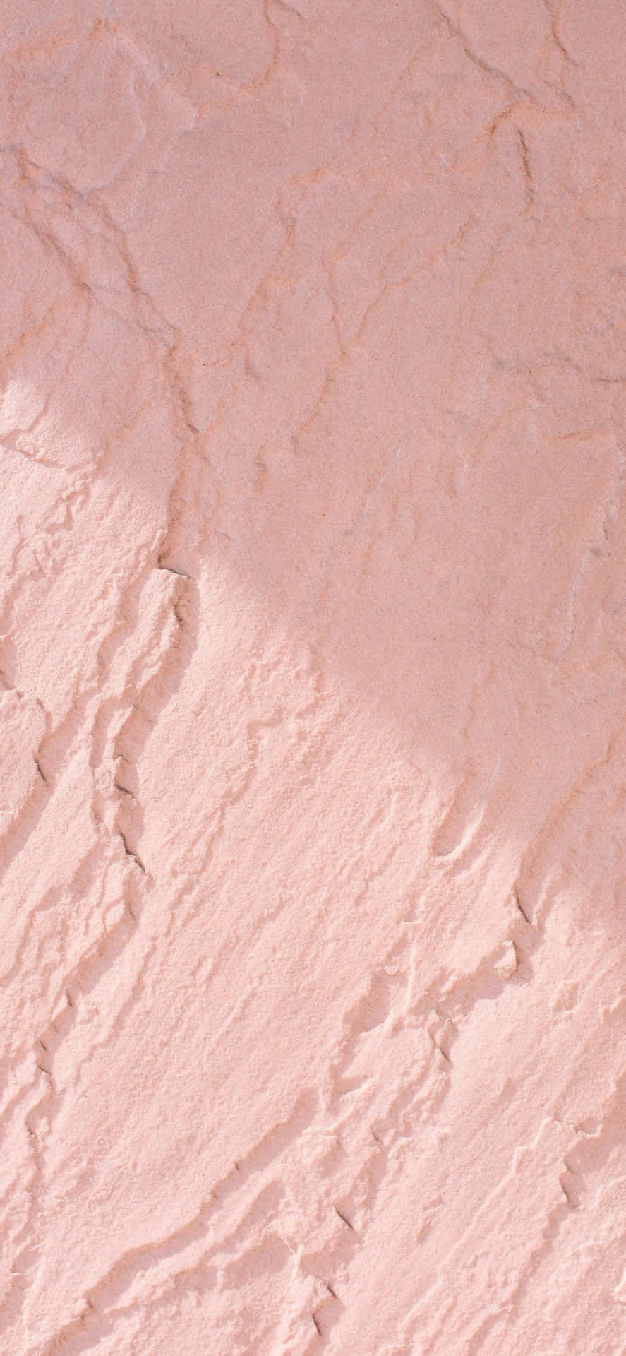 Soft Pink Wall Wallpaper