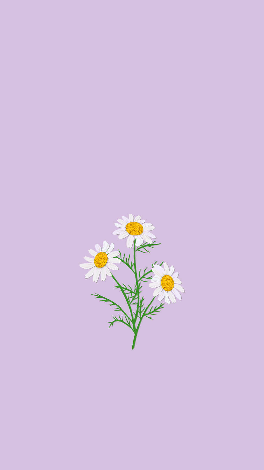 Soft Purple Daisy Aesthetic Wallpaper Wallpaper