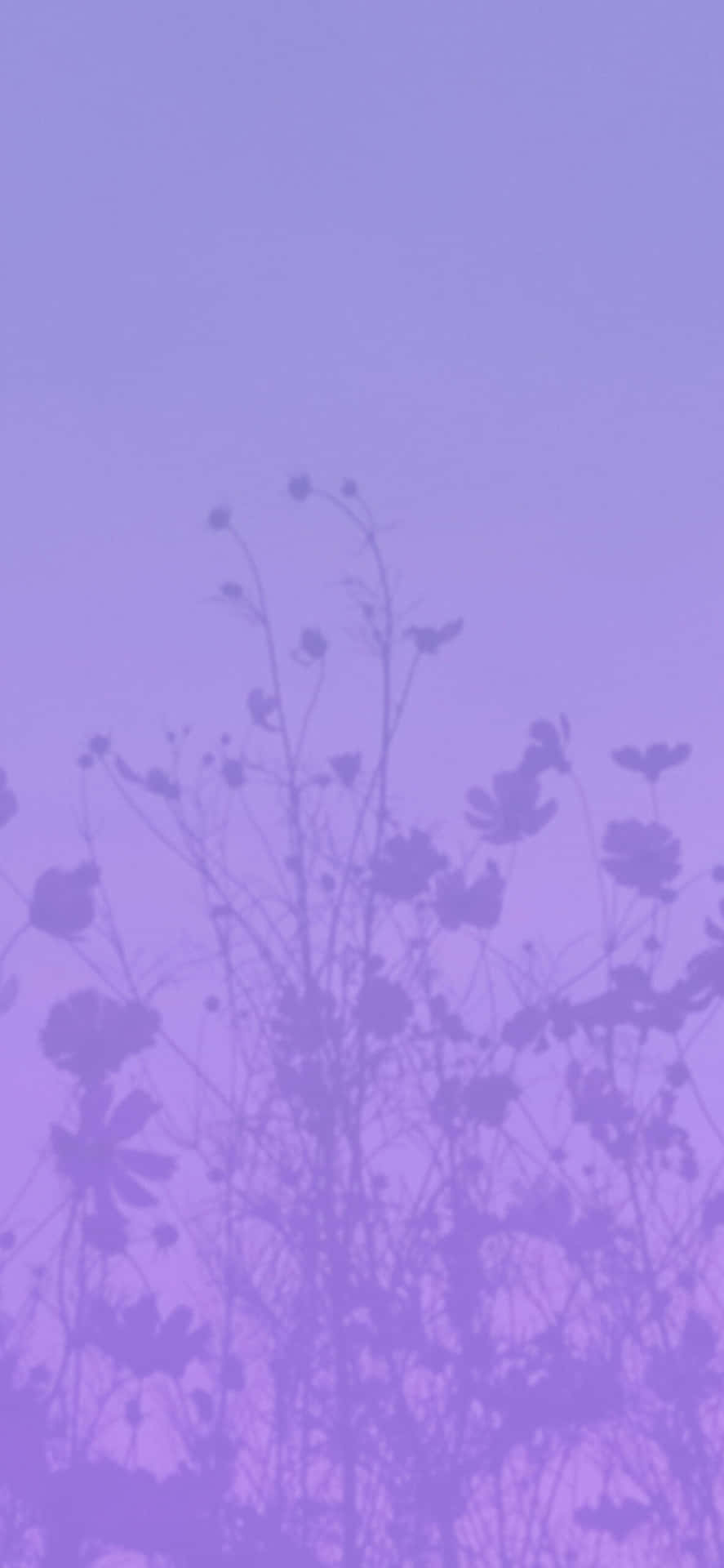 Soft Purple Floral Silhouette Background Wallpaper