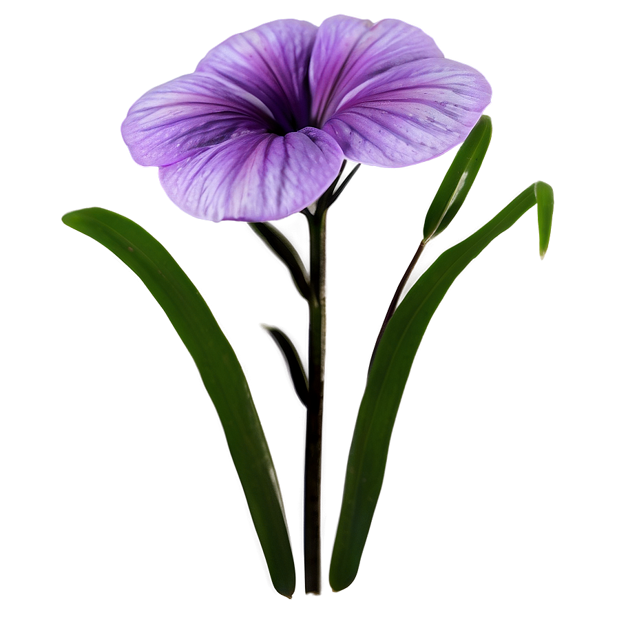 Soft Purple Flower Png 27 PNG