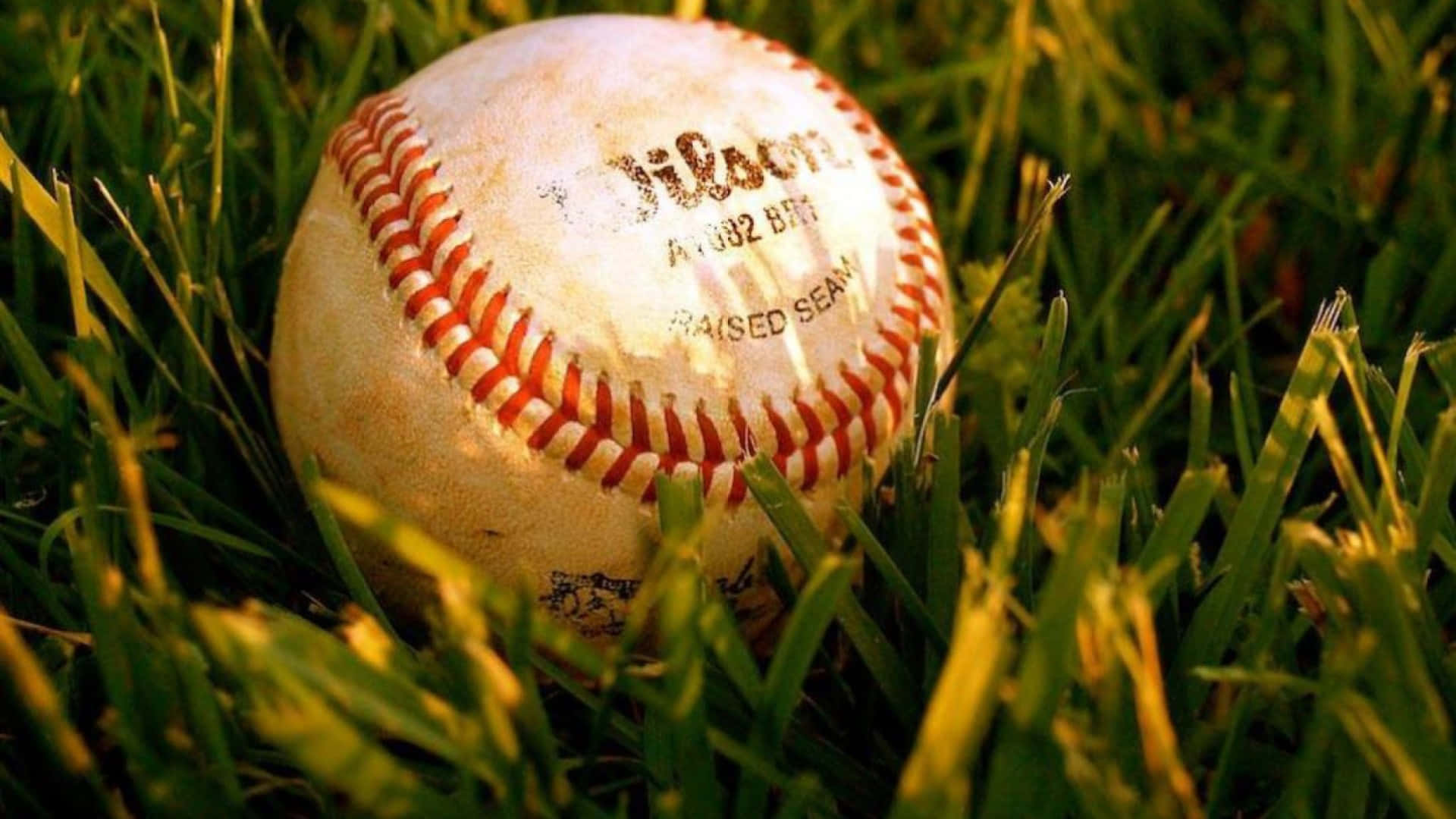 Take Your Best Swing - Softball