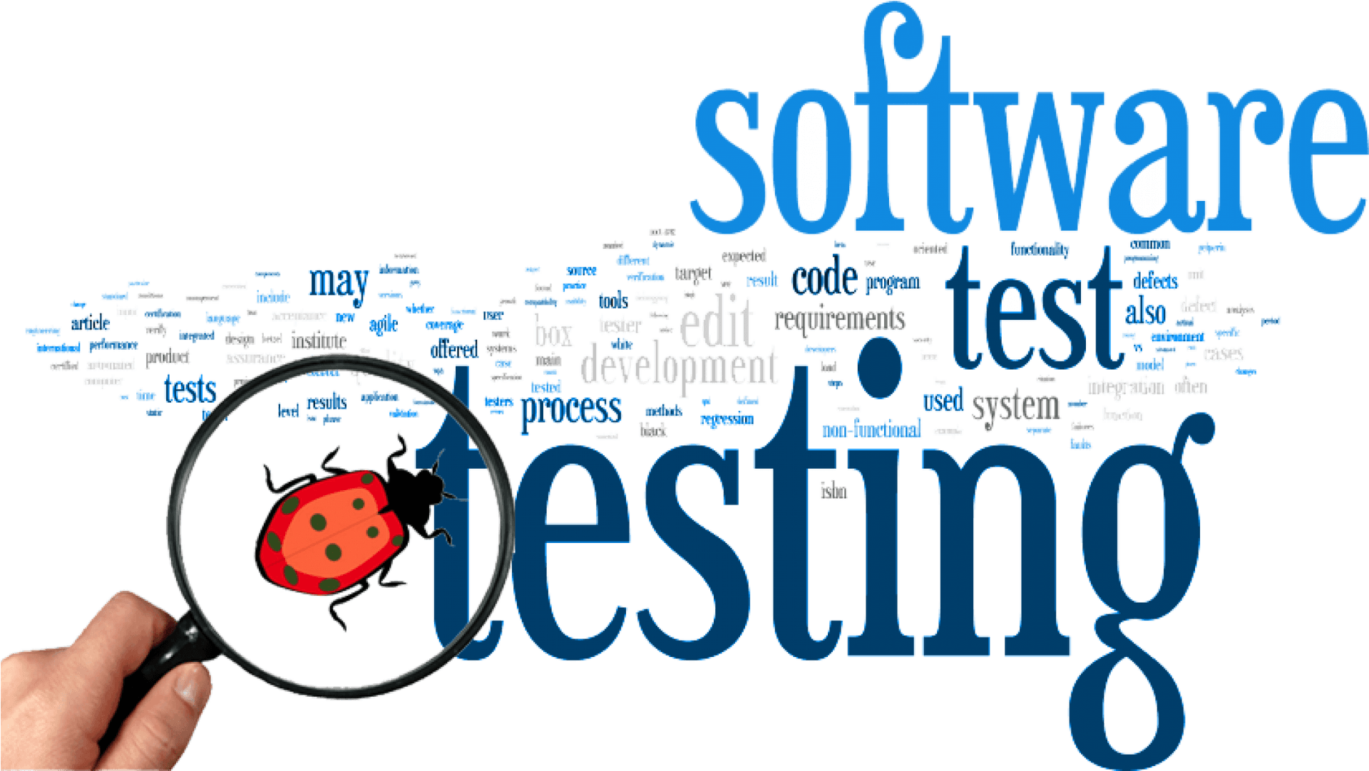 Software Testing Concept Word Cloud PNG