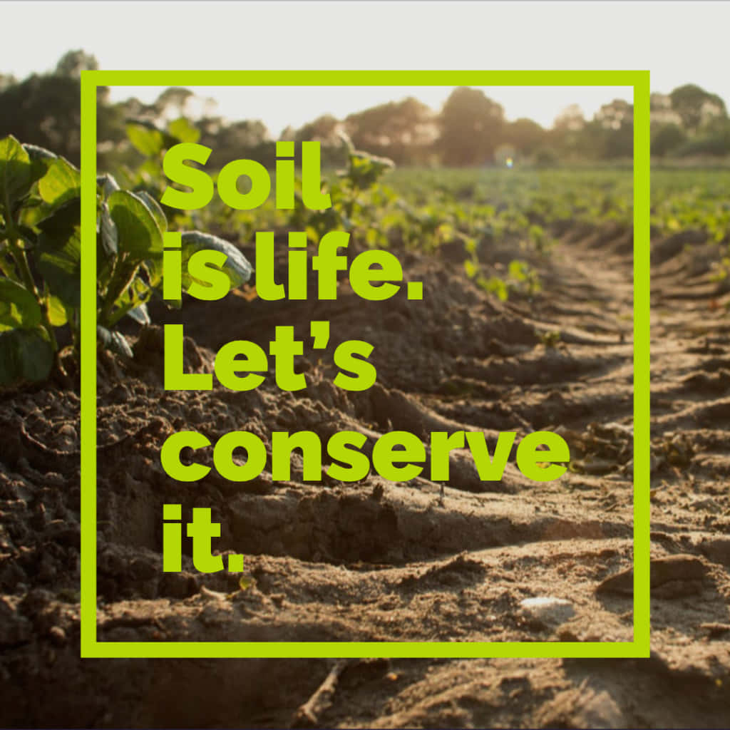 Soil Is Life, Lets Conserve It Wallpaper