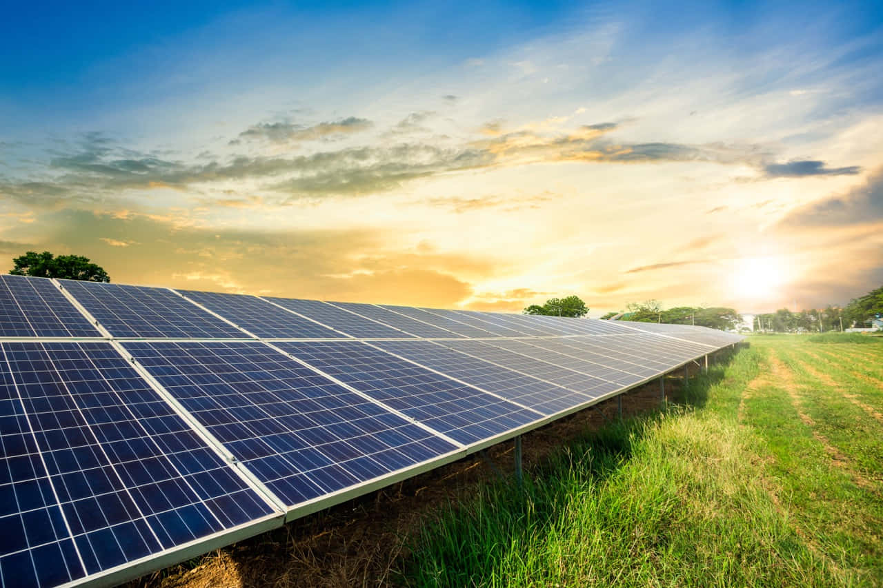 Solar panels under a clear blue sky