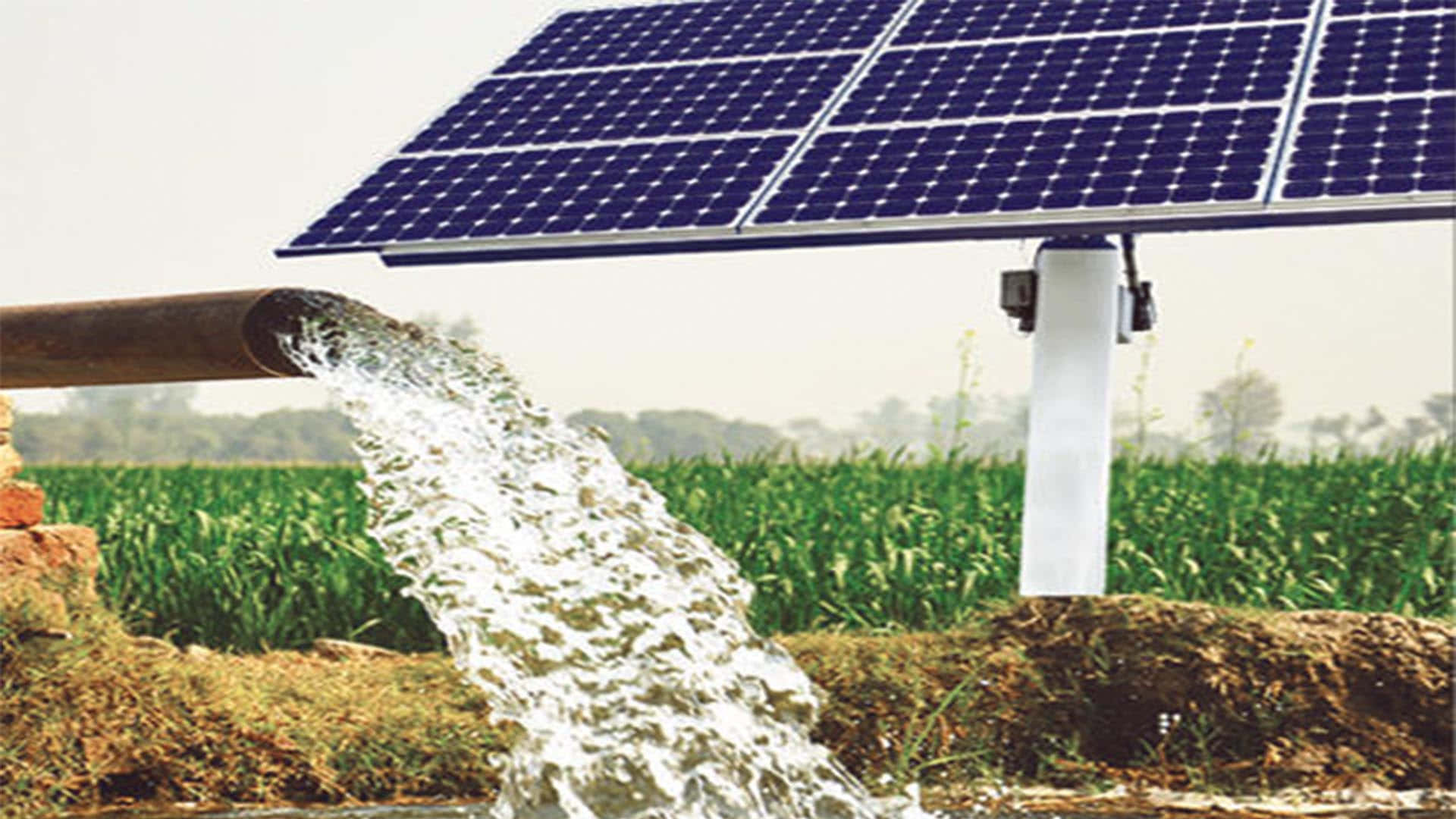 Solar Panel For Irrigation Wallpaper