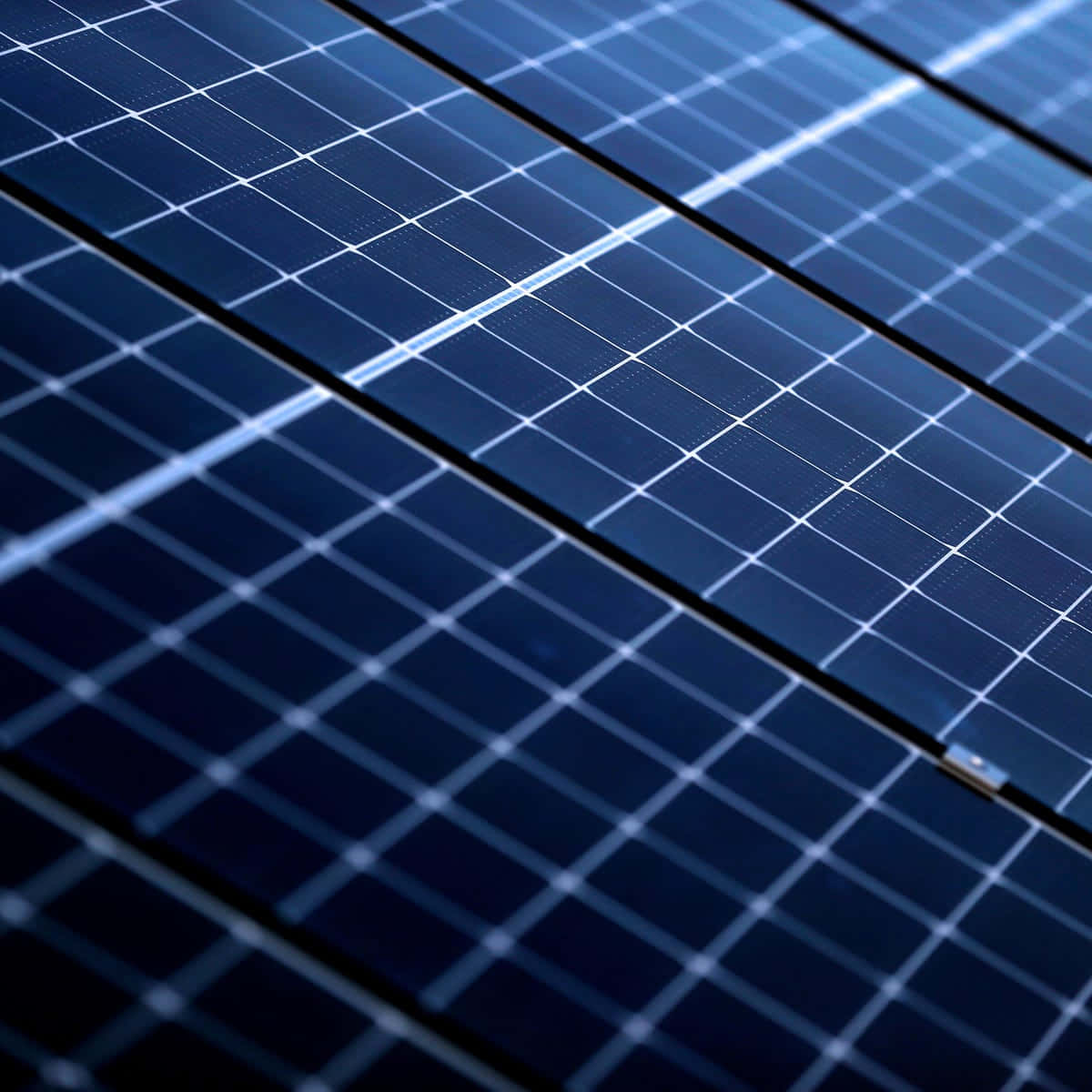 Solar Panels Extreme Close Up Shot Picture