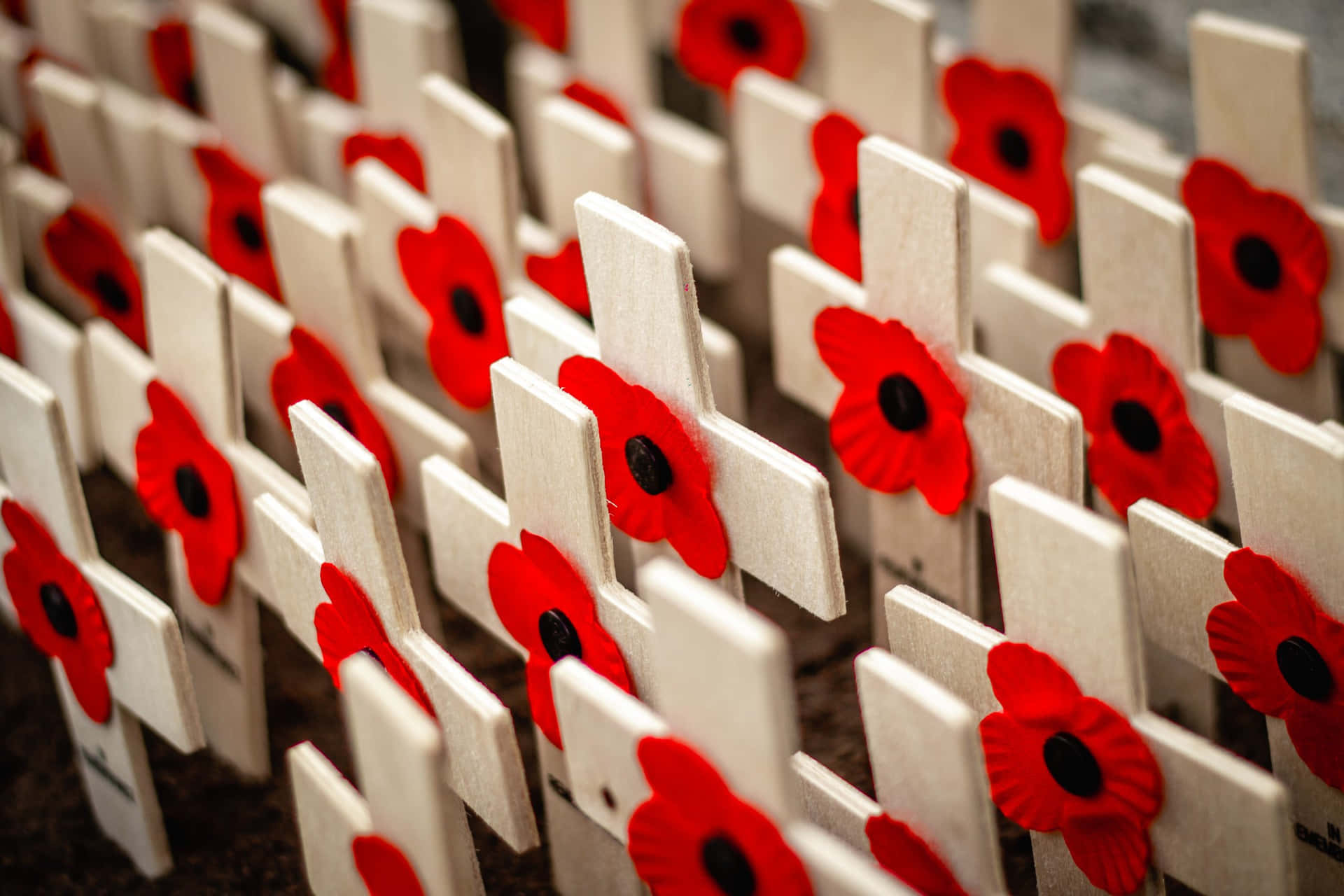 Solemn Remembrance Day Ceremony In Canada Wallpaper