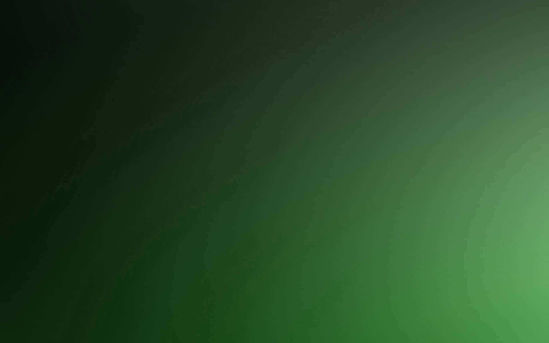 Fondosólido De Color Verde Degradado Ombre. Fondo de pantalla
