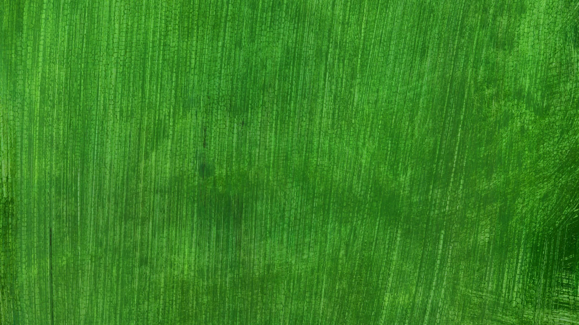 Give your room a pop of solid green with a unique wallpaper