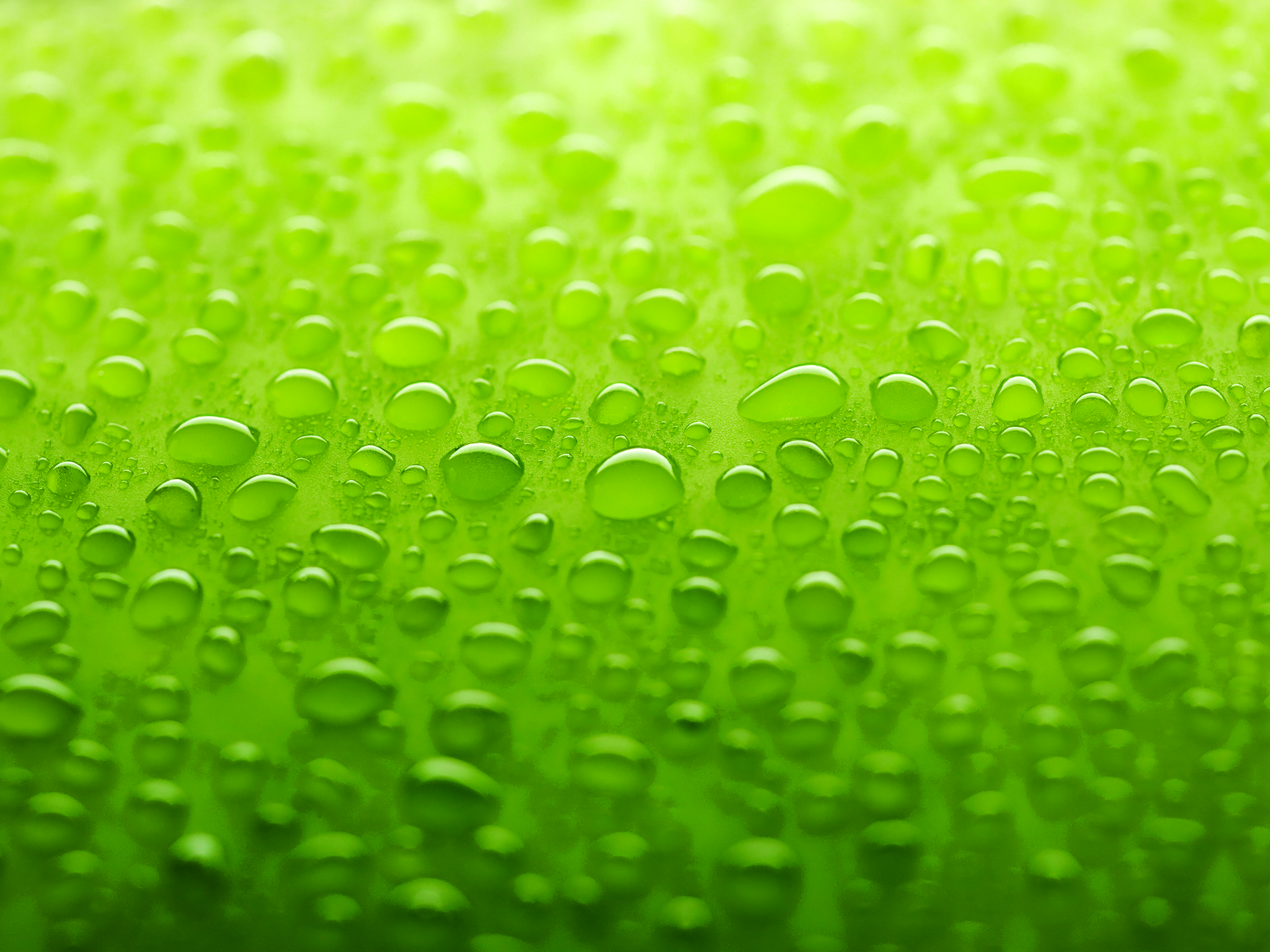 Green Water Droplets On A Glass Surface