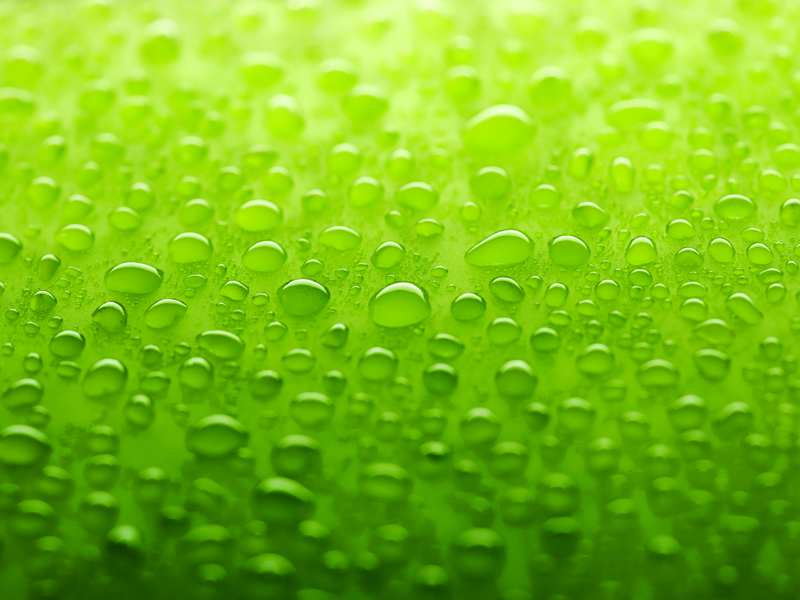 grüneWassertropfen auf einer Glasoberfläche Hintergrundbild — Eine Nahaufnahme von glitzernden Wassertropfen, die über eine lebendige limettengrüne Oberfläche verstreut sind, mit weichem Bokeh-Hintergrund.