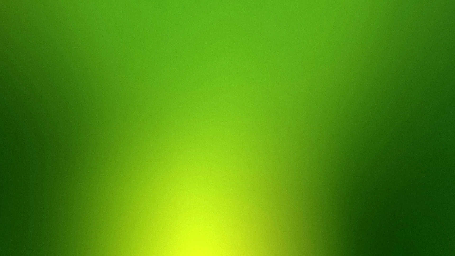 A vibrant solid green background