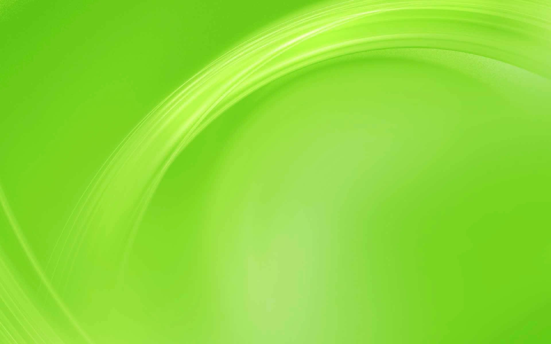 A Fresh, Solid Green Background
