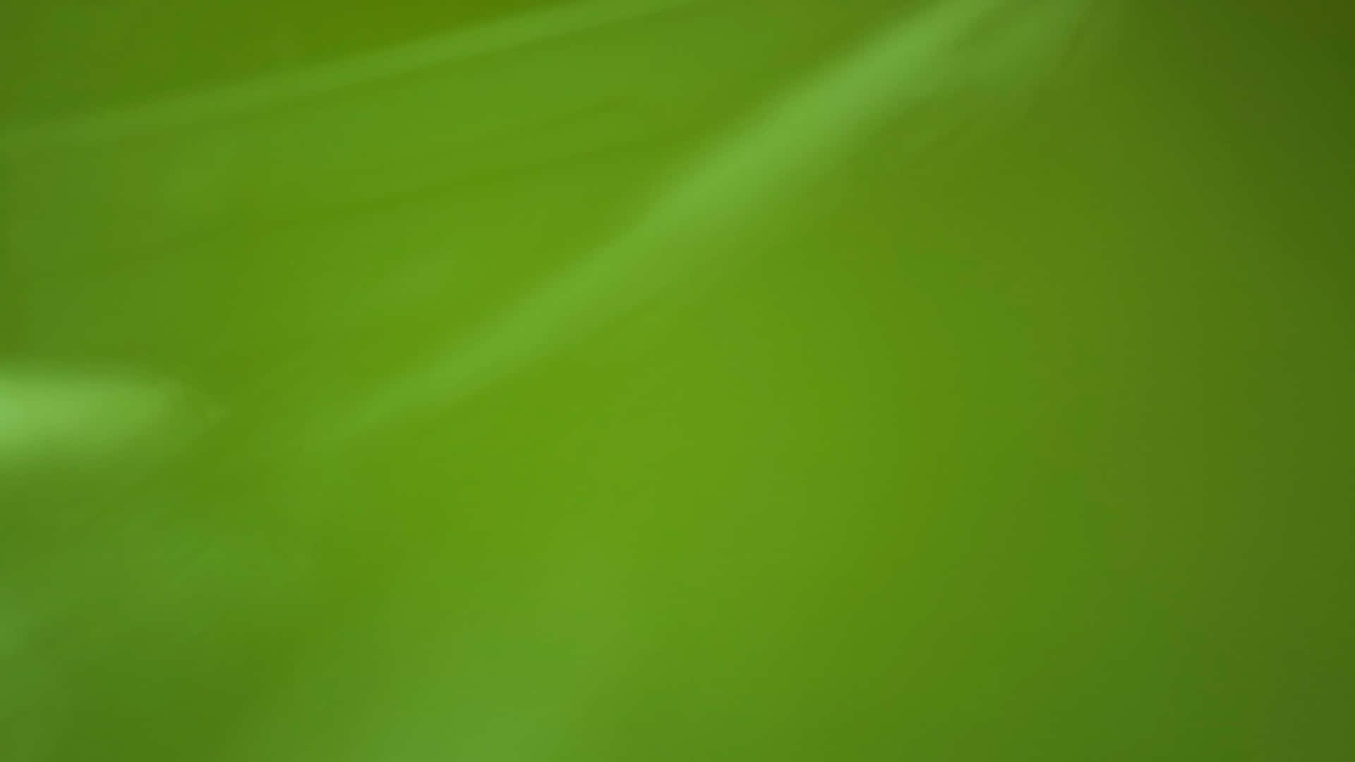 Lysandesmaragdgrön - Enhetlig Grön Bakgrund
