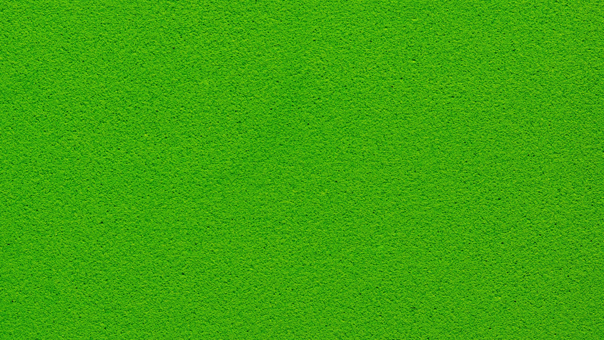Solid Green Wallpaper