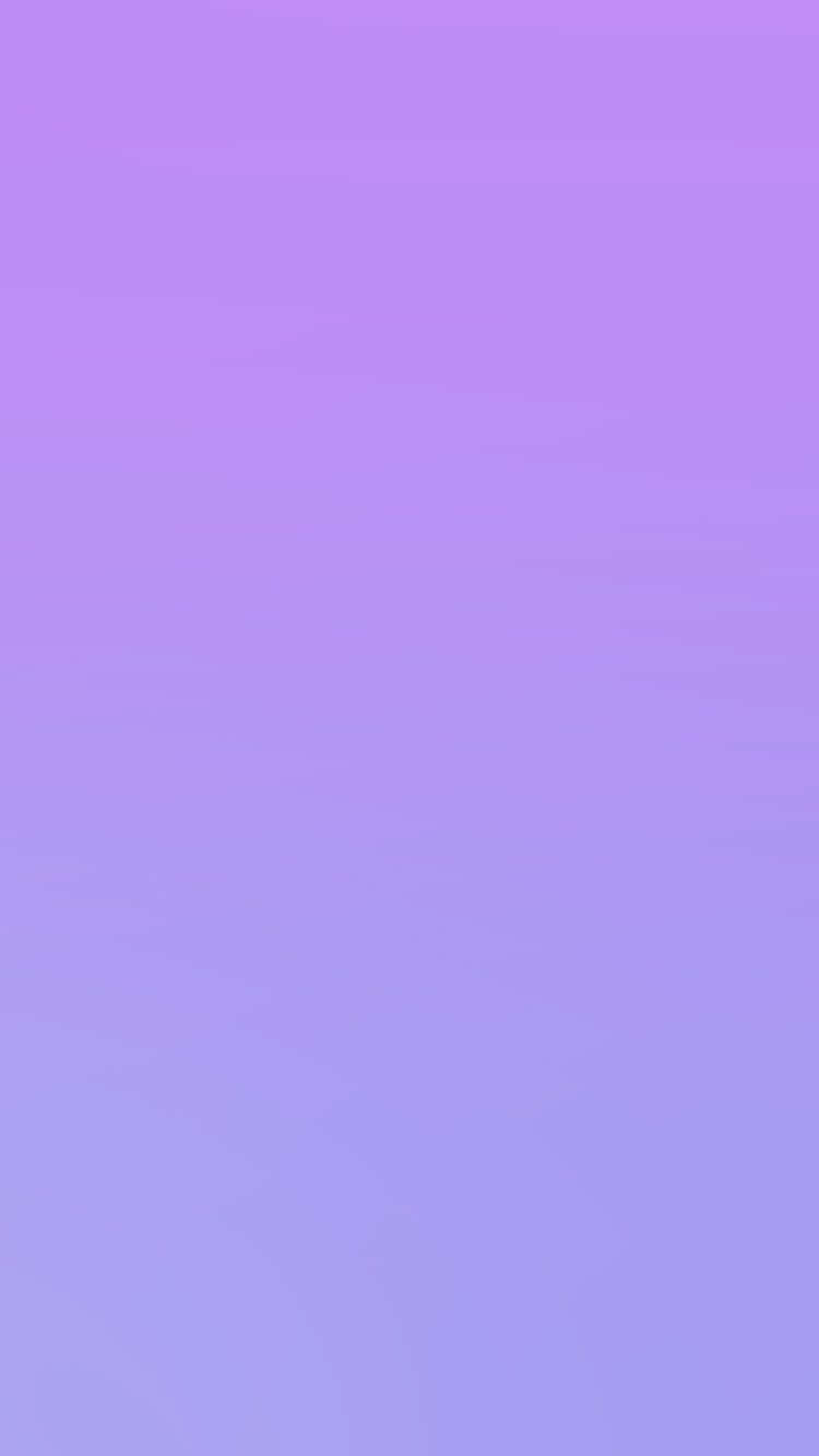 A Purple Background With A White Cat On It Wallpaper